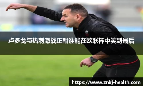 卢多戈与热刺激战正酣谁能在欧联杯中笑到最后